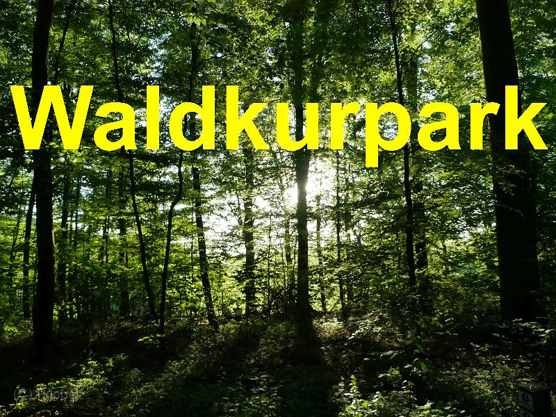 A 30 Waldkurpark.jpg
